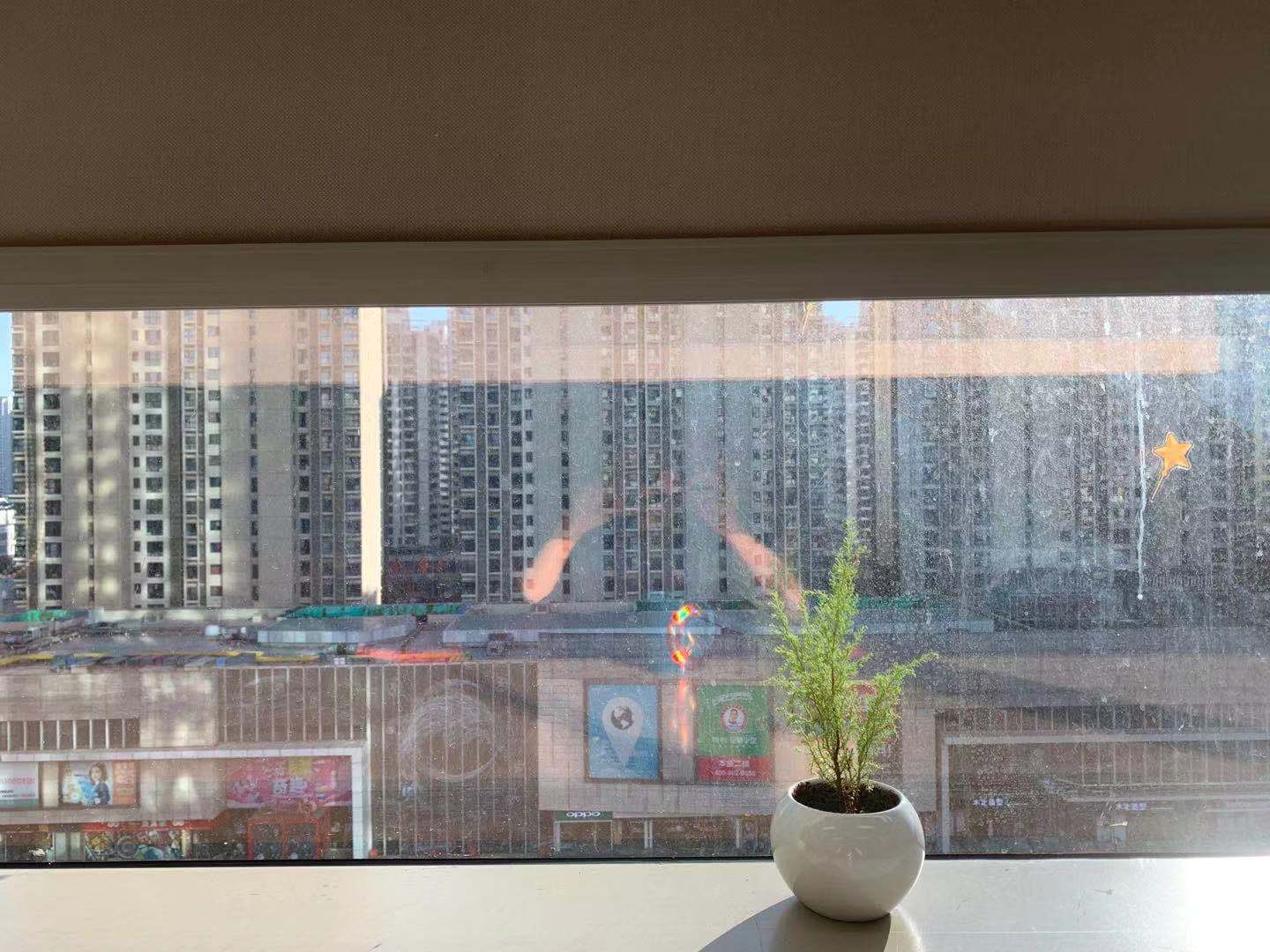 TJ-Lujiazui window view